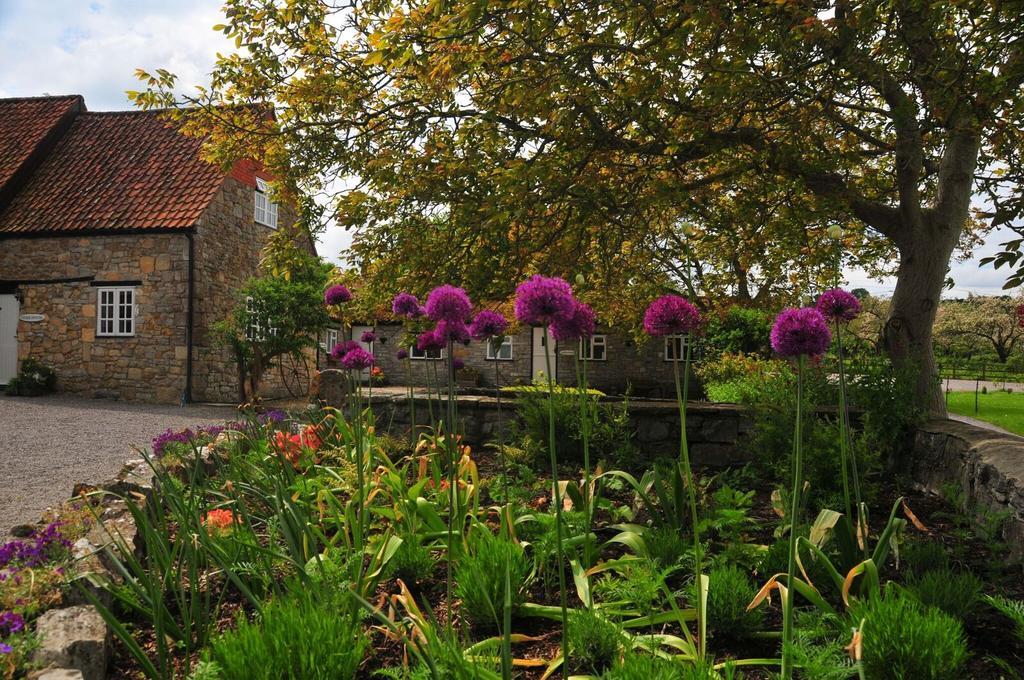 Middlewick Holiday Cottages Glastonbury Exterior foto